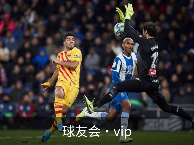 球友会·vip简介